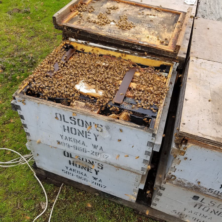Strong Double Deep Hives
