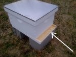 Table Bee Insect Grass Plant community