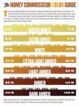 Text Font