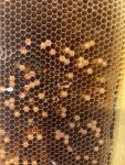 487A74A3-4D89-476C-A780-E83B5AD4CA47.jpeg